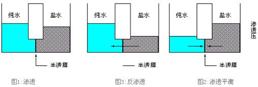  src=/up_files/image/Article/2011/10/31/38170571.jpg/></span></span></span></span></span></p><p style=text-align:left; LINE-HEIGHT: 140%><span style=font-size:12px;> </span></p><p></p><table style=WIDTH: 90% border=0 cellspacing=0 cellpadding=0 width=90% align=center><tbody><tr style=HEIGHT: 22px class=firstRow><td style=BORDER-BOTTOM-COLOR: #f8f8f9; PADDING-BOTTOM: 0cm; BORDER-TOP-COLOR: #f8f8f9; PADDING-LEFT: 0cm; PADDING-RIGHT: 0cm; HEIGHT: 22px; BORDER-RIGHT-COLOR: #f8f8f9; BORDER-LEFT-COLOR: #f8f8f9; PADDING-TOP: 0cm><p style=text-align:center; LINE-HEIGHT: 140%><span style=font-size:12px;><span style=font-family:宋體;><span style=color:black;> </span></span></span></p><p style=text-align:center; LINE-HEIGHT: 140%><span style=FONT-SIZE:12px><span style=FONT-FAMILY: 宋體><span style=color:black;><strong><span style=font-family:宋體;><span style=color:black;>下圖為反滲透原理圖及常規(guī)工藝流程圖:</span></span></strong></span></span></span></p></td></tr><tr style=HEIGHT: 22px><td style=BORDER-BOTTOM-COLOR: #f8f8f9; PADDING-BOTTOM: 0cm; BORDER-TOP-COLOR: #f8f8f9; PADDING-LEFT: 0cm; PADDING-RIGHT: 0cm; HEIGHT: 22px; BORDER-RIGHT-COLOR: #f8f8f9; BORDER-LEFT-COLOR: #f8f8f9; PADDING-TOP: 0cm><p style=text-align:center; LINE-HEIGHT: 140%><span style=FONT-SIZE:12px><span style=FONT-FAMILY: 宋體><span style=color:black;><span style=font-family:宋體;><span style=color:black;><img style=WIDTH: 380.25pt; HEIGHT: 129pt alt=